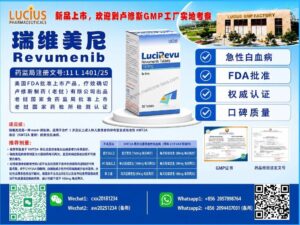 瑞维美尼/Revumenib
